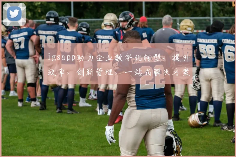 igsapp助力企业数字化转型，提升效率，创新管理，一站式解决方案，助力产业升级，共筑未来