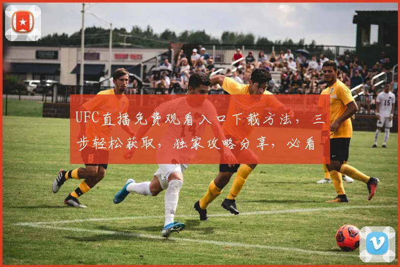 UFC直播免费观看入口下载方法，三步轻松获取，独家攻略分享，必看