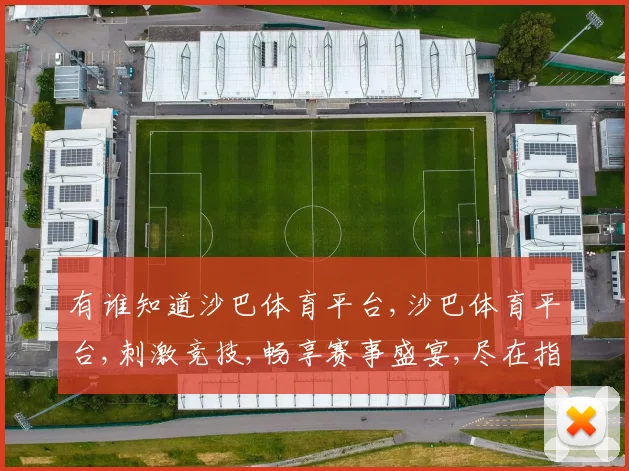 有谁知道沙巴体育平台,沙巴体育平台,刺激竞技,畅享赛事盛宴,尽在指尖