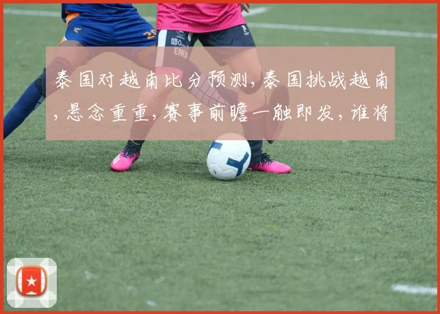 泰国对越南比分预测,泰国挑战越南,悬念重重,赛事前瞻一触即发,谁将问鼎